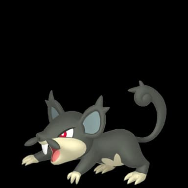 Pokémon HOME Alola-Rattfratz sprite 