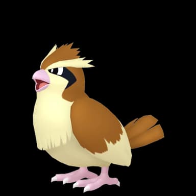 Pokémon HOME Pidgey sprite 
