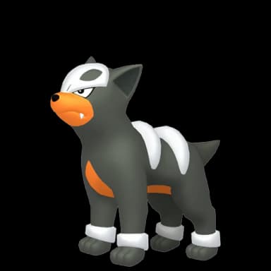 Pokémon HOME Malosse Obscur sprite 