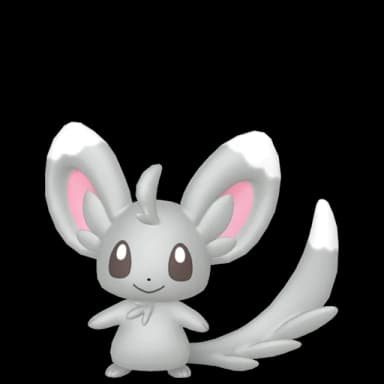 Pokémon HOME Minccino sprite 