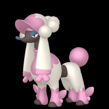 Pokémon HOME Coiffwaff (Damenschnitt) sprite 