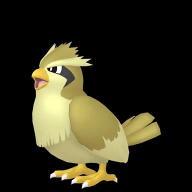 Pokémon HOME Shiny Pidgey sprite 