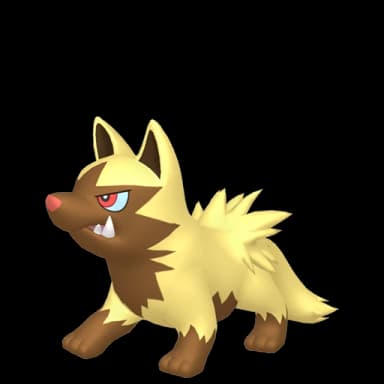 Pokémon HOME Shiny Poochyena sprite 