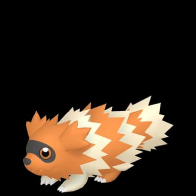 Pokémon HOME Shiny Zigzagoon sprite 