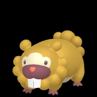 Pokémon HOME Shiny Bidoof sprite 