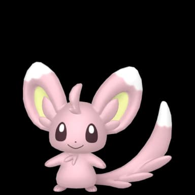 Pokémon HOME Shiny Minccino sprite 