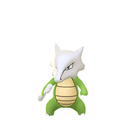 Knogga (Shiny)