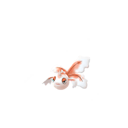 Goldini (not shiny)