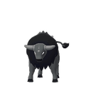 Tauros de Paldea (Race Combative) scaled to 0.6535294117647059x Human scale (compared to 1.7m human)