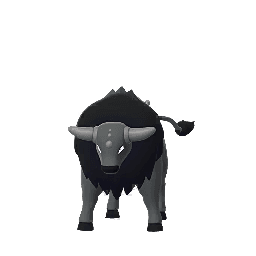 Tauros de Paldea (Race Combative) scaled to 1.4852941176470589x Human scale (compared to 1.7m human)