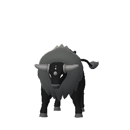 Tauros de Paldea (Raza Combativa) (Shiny)