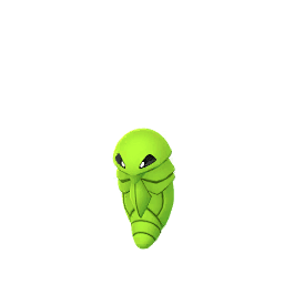 Shadow Kakuna (Shiny)