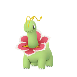 Shadow Meganium (not shiny)