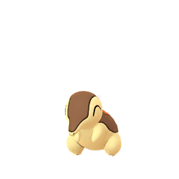 Shadow Cyndaquil (Shiny)
