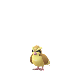 Shadow Pidgey (not shiny)