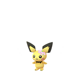 Pichu NOVEMBER_2018 (not shiny)