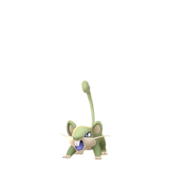 Rattata (Shiny)