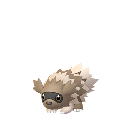 Zigzagoon (not shiny)