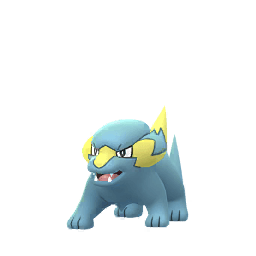 Frizelbliz (Shiny)