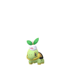 Tortipouss GEMS_2_2021_NOEVOLVE (not shiny)