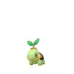 Tortipouss (not shiny)