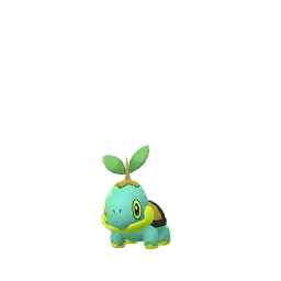 Tortipouss (Shiny)