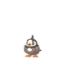 Starly (not shiny)
