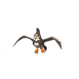 Shadow Staravia (not shiny)