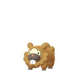 Bidoof (not shiny)