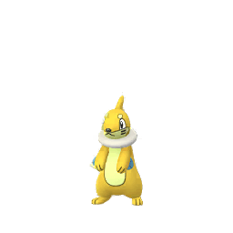 Mustébouée (Shiny)