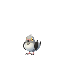 Poichigeon (not shiny)