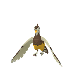 Shadow Unfezant (Shiny)