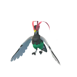 Shadow Unfezant (not shiny)