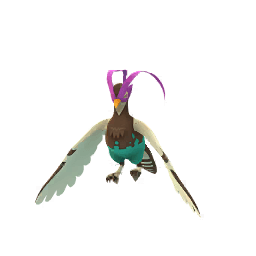 Shadow Unfezant (Shiny)