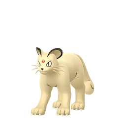 Persian (not shiny)