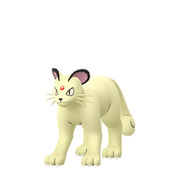 Persian (Shiny)