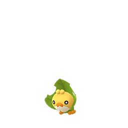 Larveyette (not shiny)