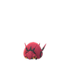 Venipede scaled to 0.3652941176470588x Human scale (compared to 1.7m human)