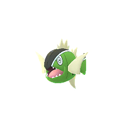 Barschuft (Weißlinig) (Shiny)