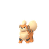 Growlithe scaled to 0.45176470588235296x Human scale (compared to 1.7m human)