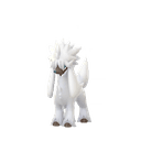 Furfrou (Natural Trim) scaled to 0.5958823529411765x Human scale (compared to 1.7m human)