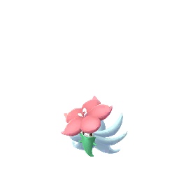 Tournicoton (Shiny)