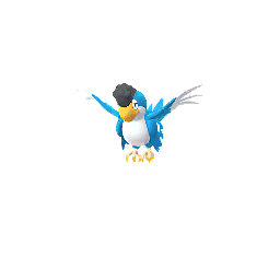 Krawalloro (Blaugefiedert) (not shiny)
