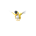 Squawkabilly (Plumaje Amarillo) scaled to 0.6029411764705883x Human scale (compared to 1.7m human)