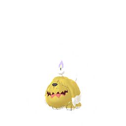 Gruff (Shiny)