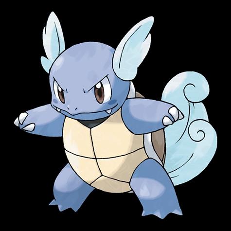 Official artwork of Wartortle oscuro
