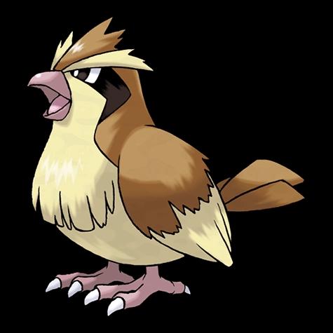 Official artwork of Pidgey oscuro