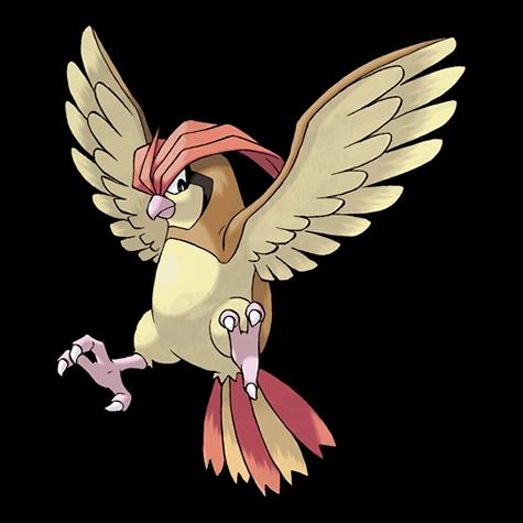 Official artwork of Pidgeotto Sombroso
