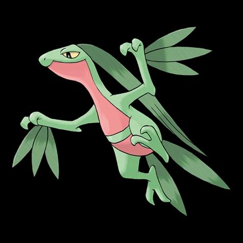 Official artwork of Grovyle oscuro