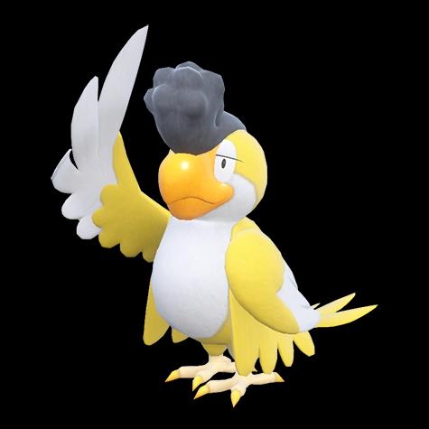 Official artwork of Tapatoès (Yellow Plumage)